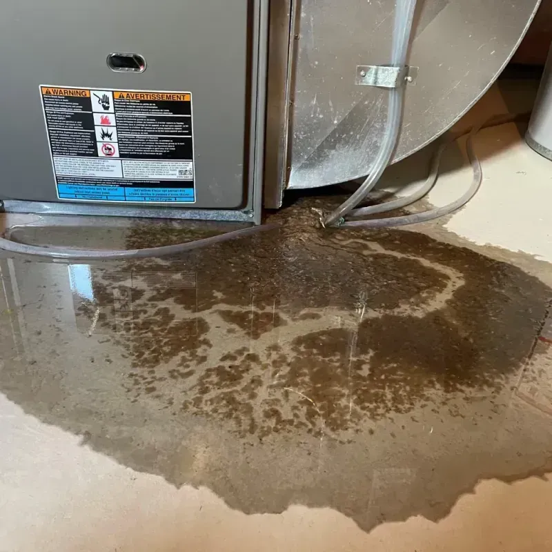 Appliance Leak Cleanup in Surry, VA